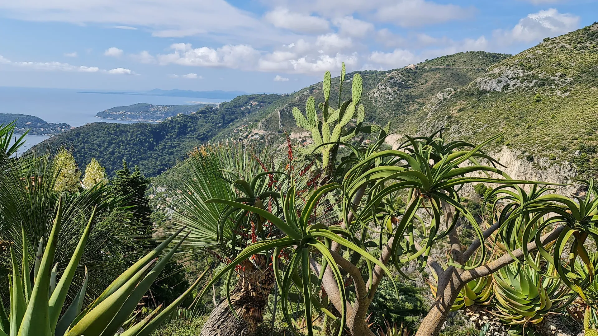 Transport mariage Riviera
